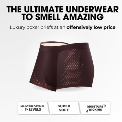 BAMBOOWEAR™ FIBRE BOXER BRIEFS - ULTIMATE ALL-DAY COMFORT